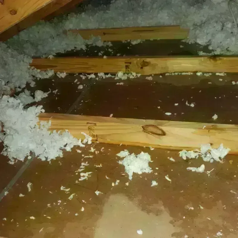 Attic Water Damage in Durant, MS