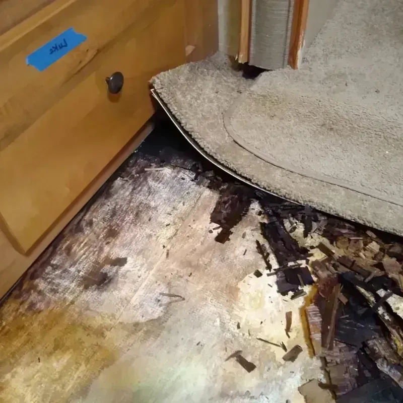 Wood Floor Water Damage in Durant, MS